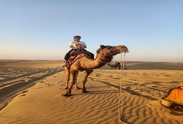 Camel-safari